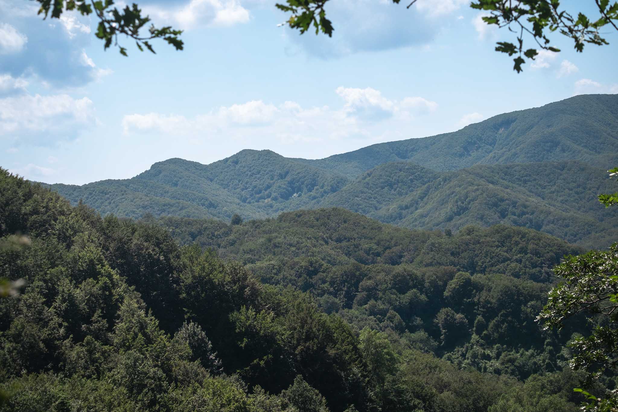 Acquacheta Waterfall